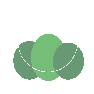 Arborvitae (Green Giant) reference icon