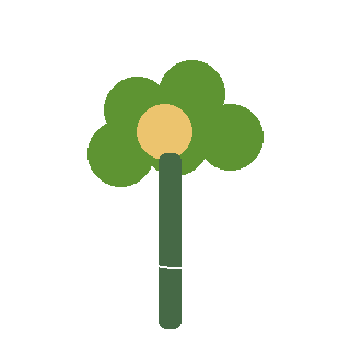 Canada Anemone (Anemone canadensis) reference icon