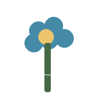 False Solomon's Seal (Maianthemum racemosum) reference icon