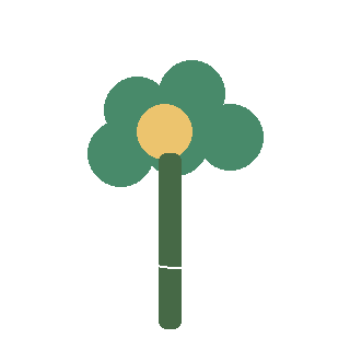 Garden Phlox (Phlox paniculata) reference icon