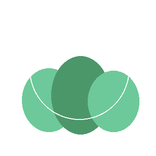 Inkberry Holly reference icon