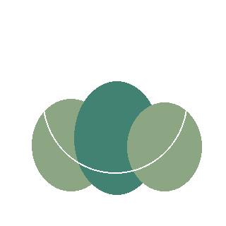Northern Bayberry (Morella pensylvanica) reference icon
