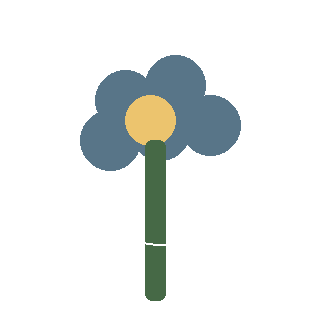 Salvia 'May Night' reference icon