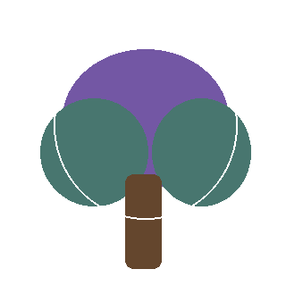 White Pine reference icon