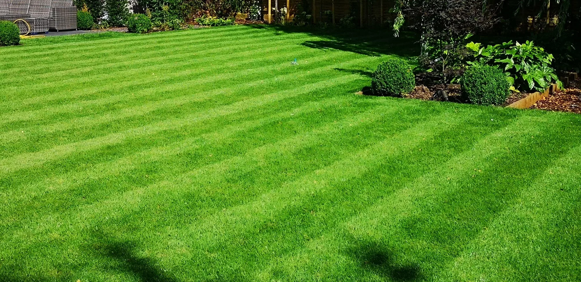 Green Lawn – How to keep my lawn  green 2024